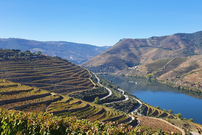 Douro Valley Tour: Wine Tasting River Cruise and Lunch from Porto - Douro Valley World Heritage: why the vines cling to steep ground