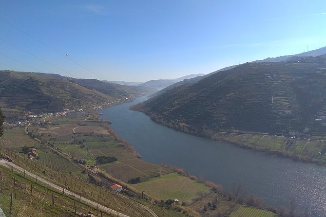 Douro Valley Tour: Wine Tasting River Cruise and Lunch from Porto - Guides can make or break the experience: Nelson, Hugo, Paulo, and Pedro