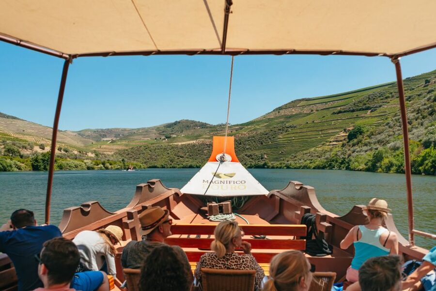 Douro Valley: Wine Tour with Lunch, Tastings & River Cruise - Should you book this Douro Valley wine tour?