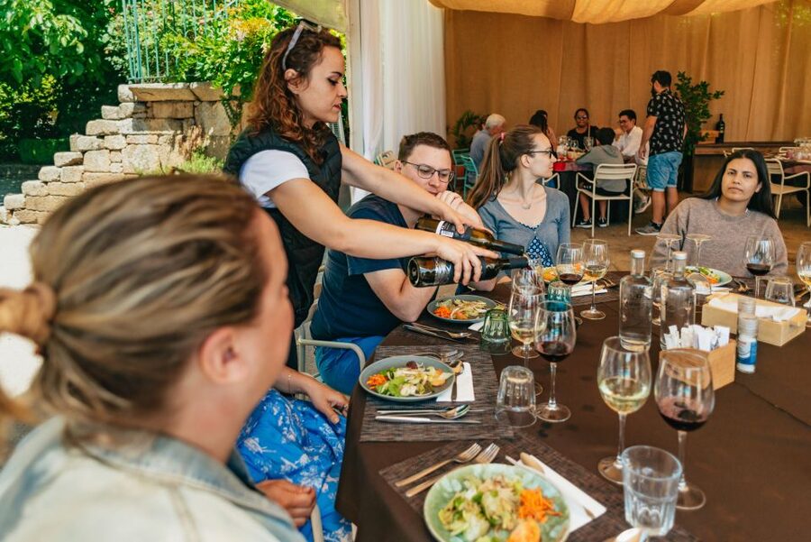 Douro Valley: Wine Tour with Lunch, Tastings & River Cruise - Lunch on the vineyards: when the pairing actually delivers