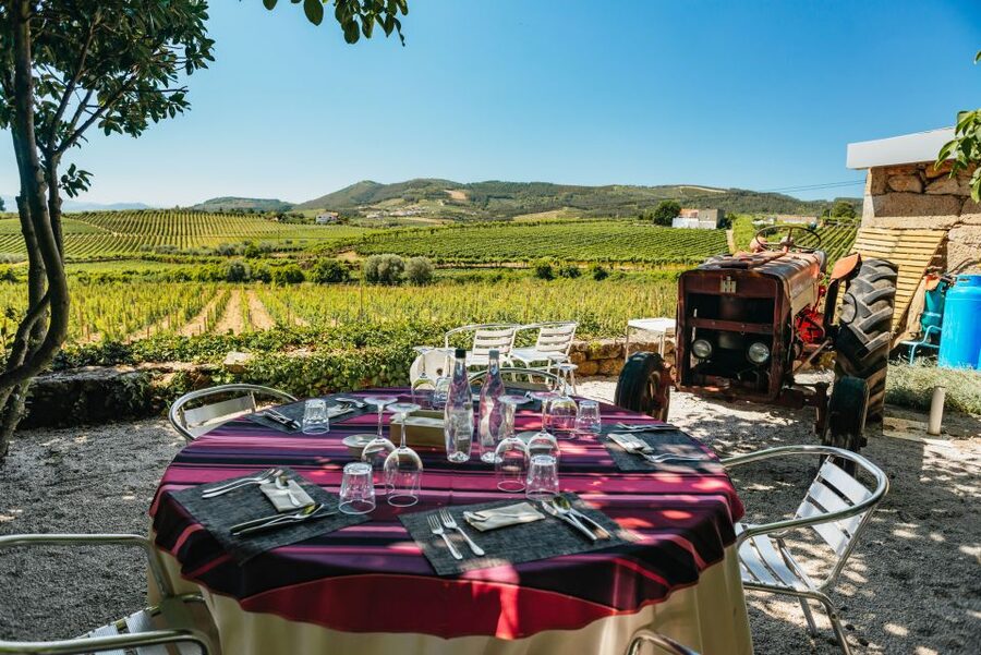 Douro Valley: Wine Tour with Lunch, Tastings & River Cruise - São Cristovão viewpoint and Pinhão: river views you’ll remember