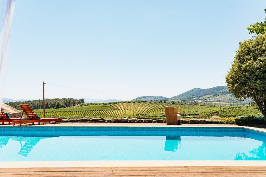 Douro Valley: Wine Tour with Lunch, Tastings & River Cruise - Who should book this Douro day trip (and who should skip it)
