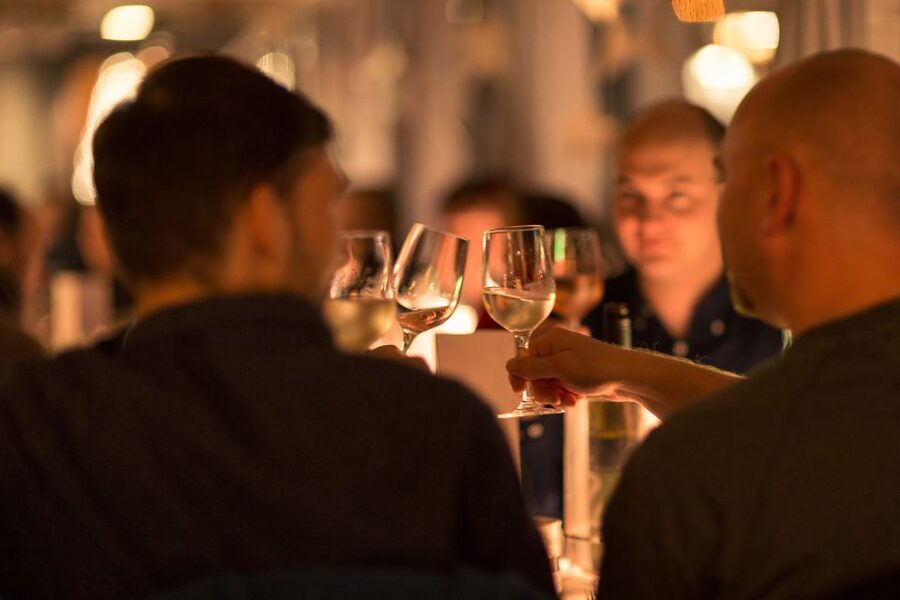 Dresden: Evening River Cruise with Dinner - The route: Blue Wonder, Pillnitz Palace, and riverside palaces