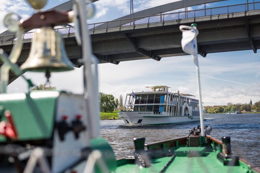 Dresden: River Sightseeing Boat Cruise - Modern boat or historic paddle steamer: either way works