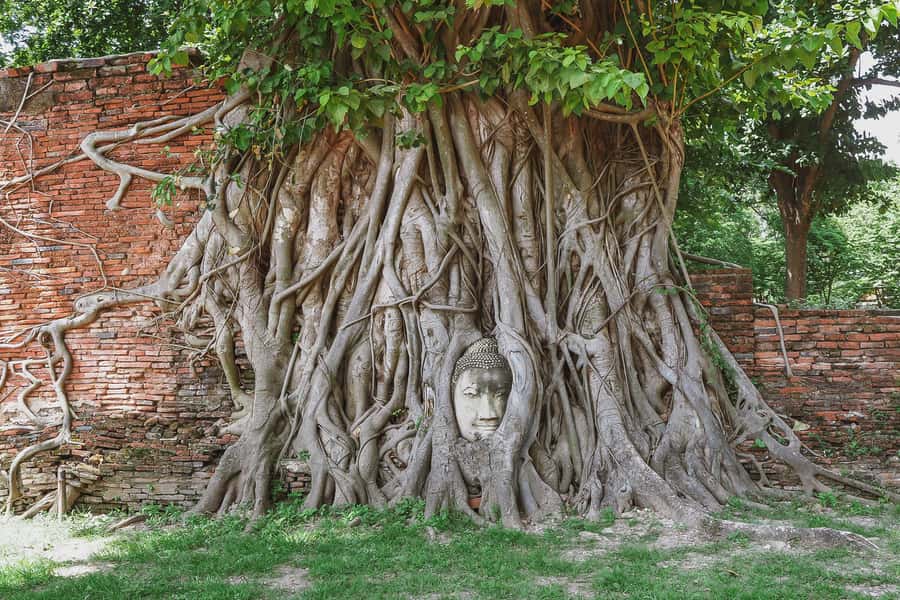 From Bangkok: Ayutthaya Day Tour by Bus with River Cruise - Temple Stops That Matter: Royal Sites, Ruins, and the Big Icons