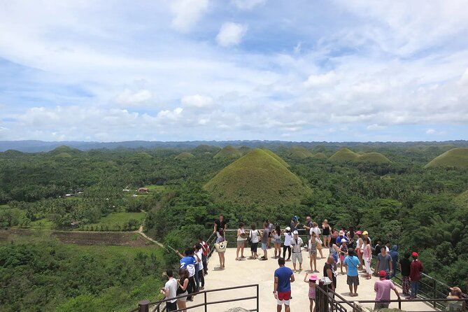 From Cebu: Bohol Countryside Private Tour & Loboc River Cruise - Tarsier & Butterfly Sanctuary: Respect Rules for the World’s Smallest Primates