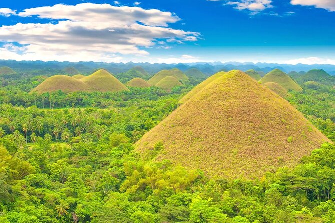 From Cebu: Bohol Countryside Private Tour & Loboc River Cruise - Chocolate Hills Complex: Cone Views and the Climb to the Deck