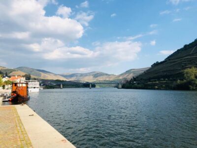 From Gaia Douro Valley Tour Wine Tasting River Cruise Lunch - Starting at Dom Luís I: Easy Meet Point, Simple First Step