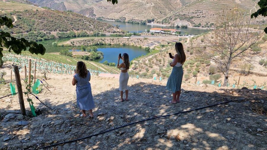 From Gaia Douro Valley Tour Wine Tasting River Cruise Lunch - The N222 Road: Why This Drive Isn’t Just Transit