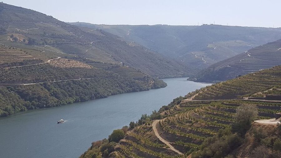 From Gaia Douro Valley Tour Wine Tasting River Cruise Lunch - The Douro River Boat Cruise: A Quiet Hour on the Water