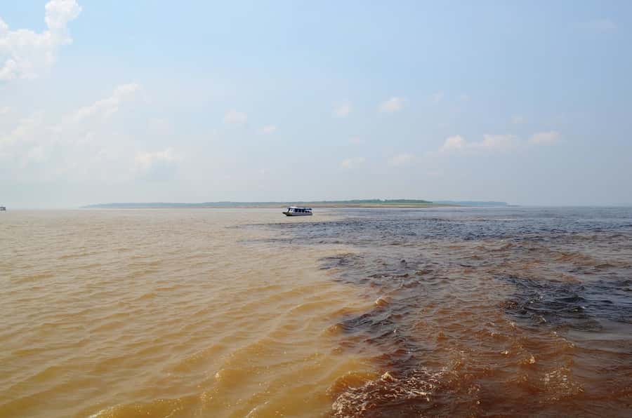 From Manaus: 3 or 4-Day Rio Negro & Anavilhanas River Cruise - Day 3 for the 3-Day Option: Manioc at a Native Family Home