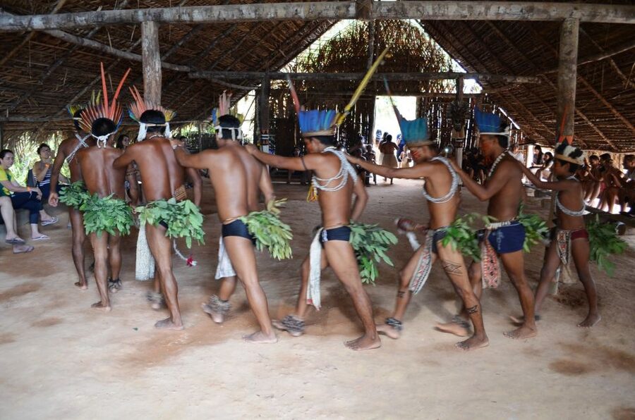 From Manaus: 3 or 4-Day Rio Negro & Anavilhanas River Cruise - Day 3 for the 4-Day Option: Monkeys, Sloths, and Jungle Survival Learning