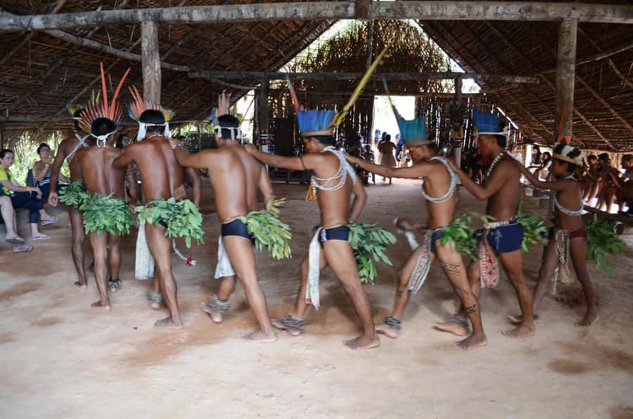From Manaus: 3 or 4-Day Rio Negro & Anavilhanas River Cruise - Wildlife Watching Reality Check: What Helps and What Doesn’t