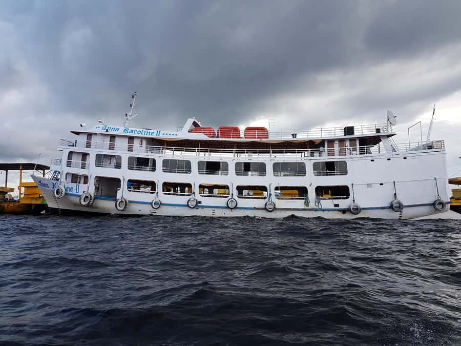 From Manaus: 3 or 4-Day Rio Negro & Anavilhanas River Cruise - Entering Manaus Mode: Transfers and the First River Day