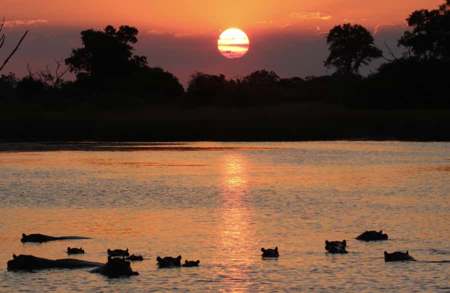 From Marloth Park: Sunset River Cruise Safari - Key Points at a Glance