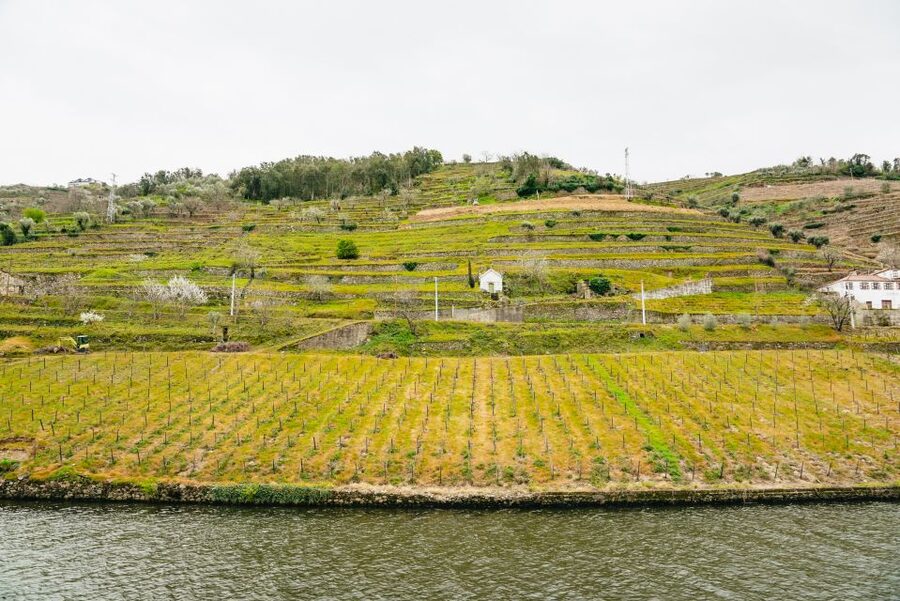 From Porto: Douro River Cruise to Régua with Lunch - Lunch in wine country: what’s included and how to pace it