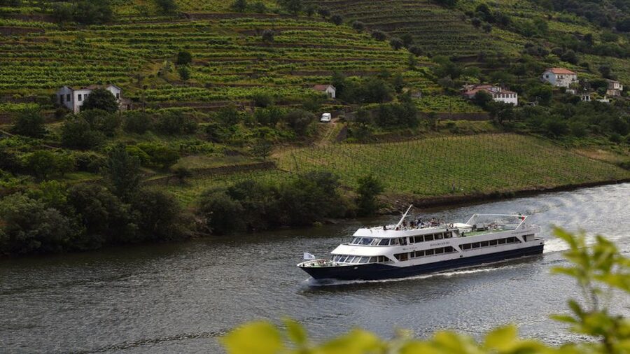 From Porto: Douro River Cruise, Winery Visit & Lunch - Quinta da Roêda: a traditional estate stop with wine tasting