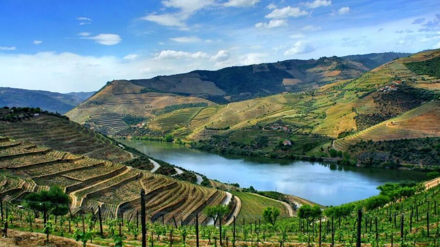 From Porto: Régua to Porto River Cruise with Lunch on Board - Porto to Peso da Régua: the bus ride that sets the mood