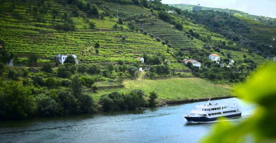 From Porto: Régua to Porto River Cruise with Lunch on Board - What you’ll actually get for $84: value breakdown that makes sense