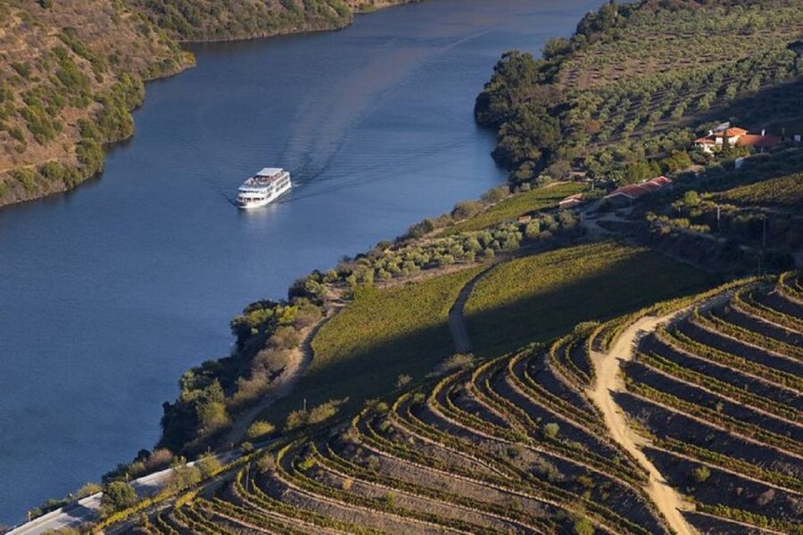 From Porto: Régua to Porto River Cruise with Lunch on Board - Lunch onboard and the river view rhythm you’ll actually remember