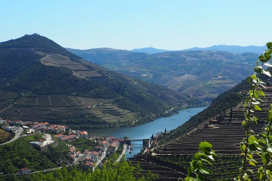 From Porto: Small-Group Douro Valley Wine Tour Lunch & Boat - What could be annoying for some people