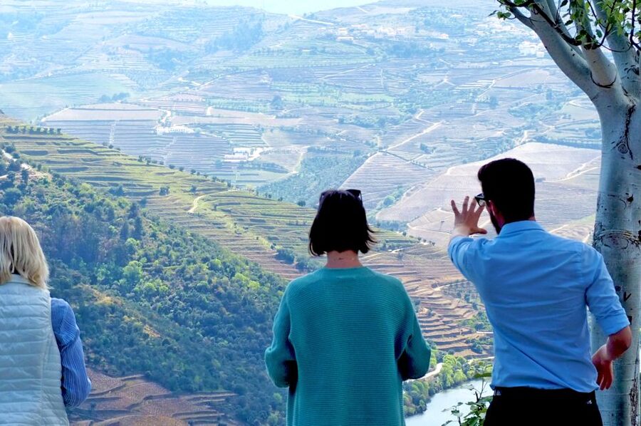 From Porto: Small-Group Douro Valley Wine Tour Lunch & Boat - The Mercedes van ride: comfort plus scenic stops