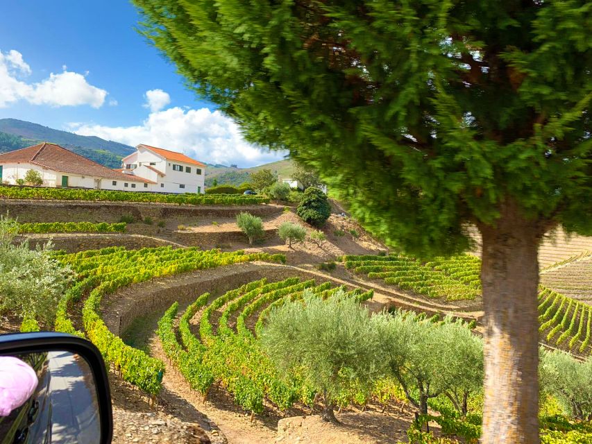 From Porto: Small-Group Douro Valley Wine Tour Lunch & Boat - Quinta dos Novais lunch: 3 courses, wine pairings, and olive oil at the table
