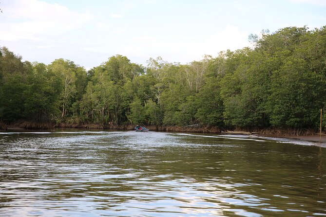 Full Day Bongawan River Cruise with Proboscis Monkey Sightseeing - High-Tea Interlude, Then Dinner on the Jetty