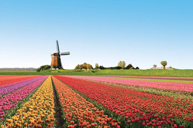 Full-Day Skip the Line Keukenhof and Canal Cruise from Amsterdam - Keukenhof Gardens: Skip-the-Line Entry for Seven Million Bulbs