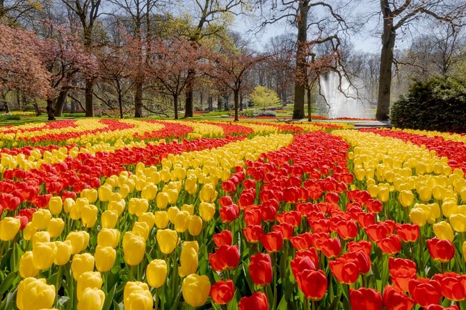Full-Day Skip the Line Keukenhof and Canal Cruise from Amsterdam - Using Your 7 Hours Well (When Crowds Can Change the Vibe)