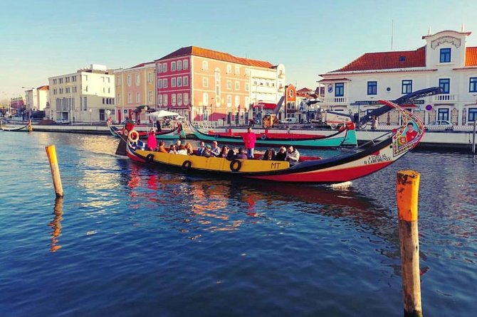 Full Day Tour from Porto to Coimbra and Aveiro with River Cruise - Porto to Coimbra and Aveiro: a smart, busy day