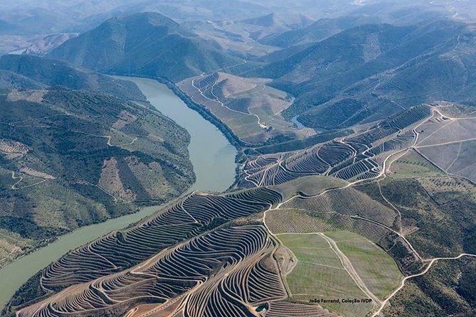 Full Day, Wine Tasting, River Cruise and Lunch from Porto - Porto and the Douro in one day: how this trip really feels
