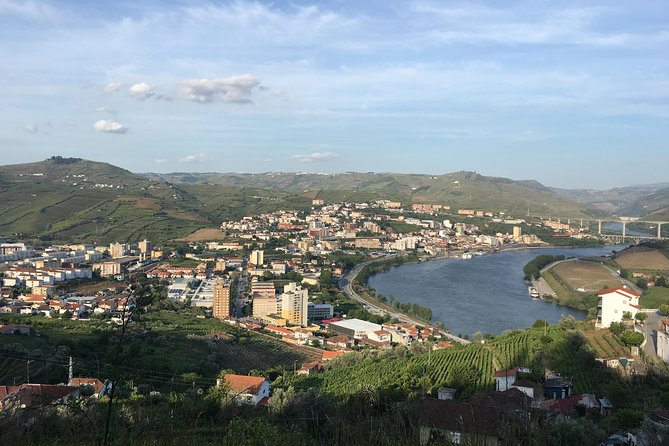 Full Day, Wine Tasting, River Cruise and Lunch from Porto - Transportation from Porto and the Peso da Régua connection