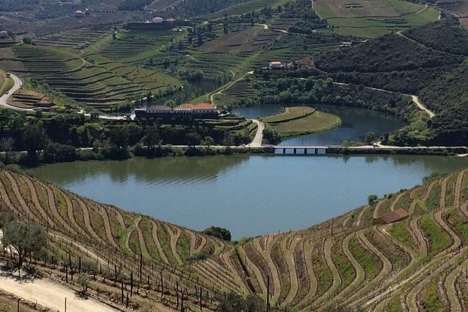 Full Day, Wine Tasting, River Cruise and Lunch from Porto - What to pack for wine, boat time, and a long day