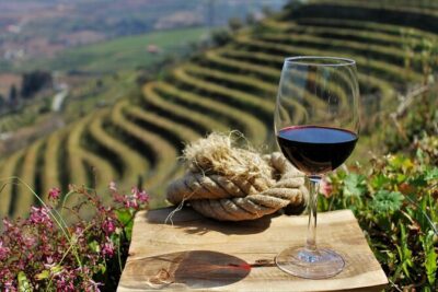 Genuine Douro Valley Tour: Visit 2 Wineries, Lunch & River Cruise - The N222 Scenic Drive: The Trip Starts Before You Taste