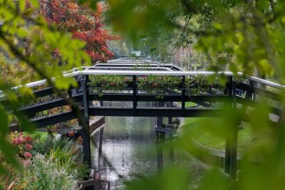 Giethoorn: Highlights Canal Cruise and Sightseeing Village - The 1-hour heated canal cruise: the main event