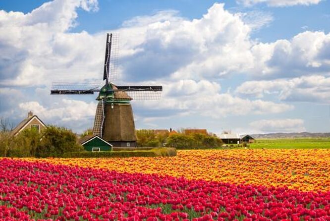 Giethoorn Private Tour, Canal Cruise and Windmills from Amsterdam - Key highlights at a glance