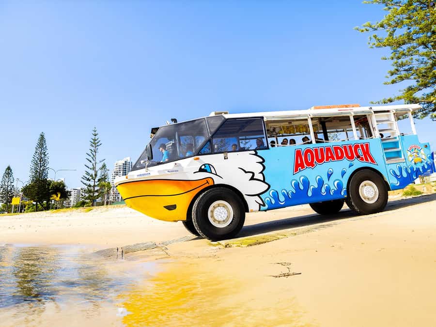 Gold Coast: 1-Hour Land and Water Duck Tour - Land-to-water splash down: the Aquaduck trick you can’t fake