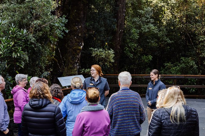 Gordon River Cruise departing from Strahan - How to plan your morning cruise time and weather
