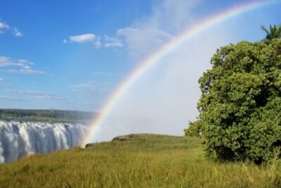 Guided Falls Tour & Zambezi River Cruise Combo - Day 1: Zambezi River sunset cruise for hippos, elephants, and birds