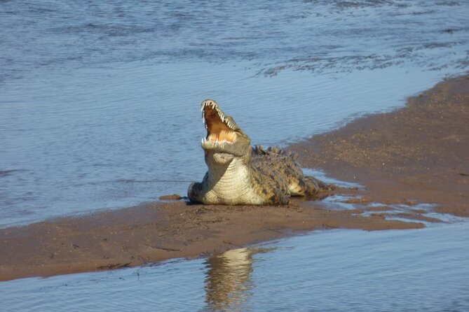 Guided Falls Tour & Zambezi River Cruise Combo - Who should book this Victoria Falls guided falls and Zambezi combo