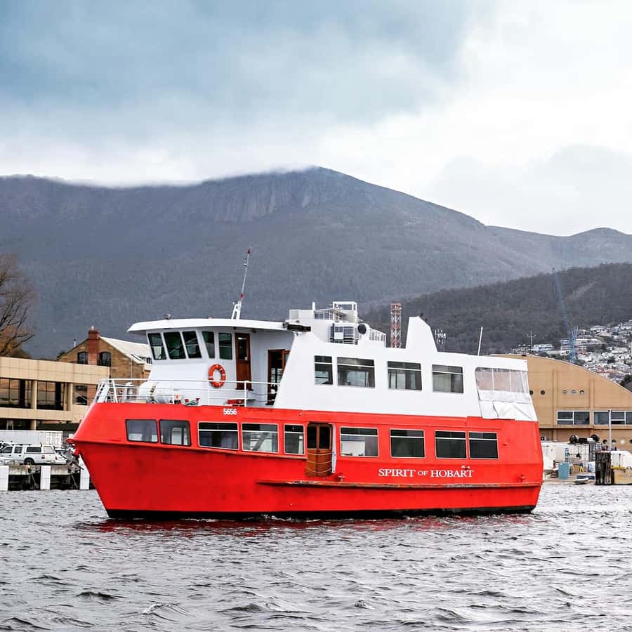 Hobart: Morning River Cruise - Why This 1-Hour Hobart Cruise Works So Well