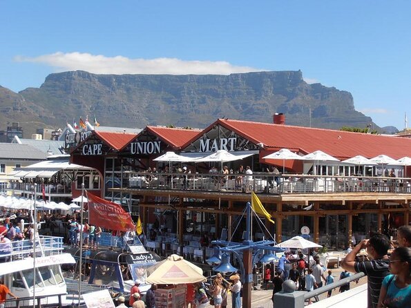Hop-On Hop-Off Cape Town Canal Cruise - Key Things to Know Before You Board