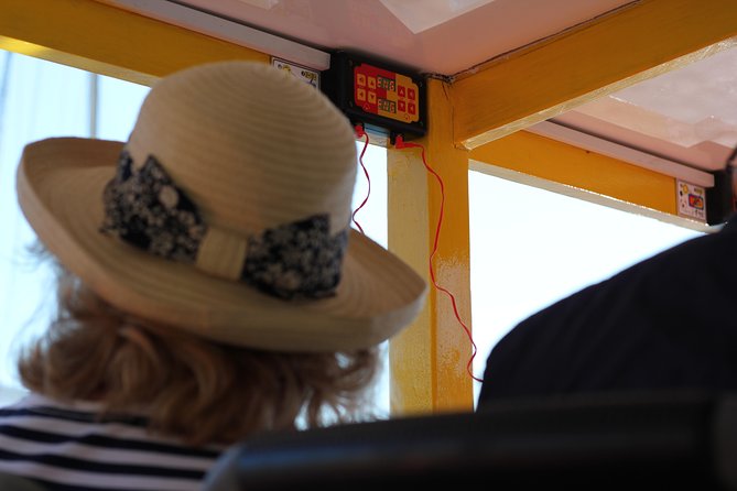 Hop-On Hop-Off Cape Town Canal Cruise - Timing It Right: How to Fit 30 Minutes Into a Full Day