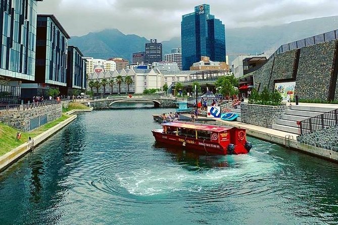 Hop-On Hop-Off Cape Town Canal Cruise - Who Should Book This (and Who Might Be Happier With Something Else)