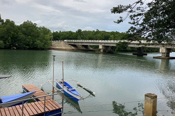 Iwahig River Cruise and Firefly Watching Tour in Puerto Princesa - The Firefly Watching Walk: What You’ll Actually Do at Night