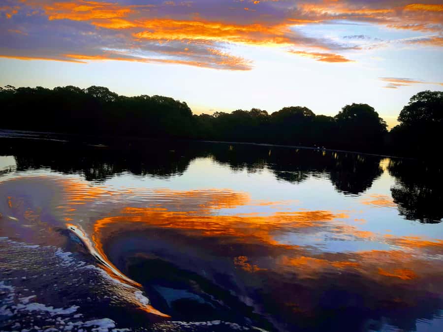 Jervis Bay: 2-Hour Sunset River Cruise - Why the Currambene River sunset feels special (and not just scenic)
