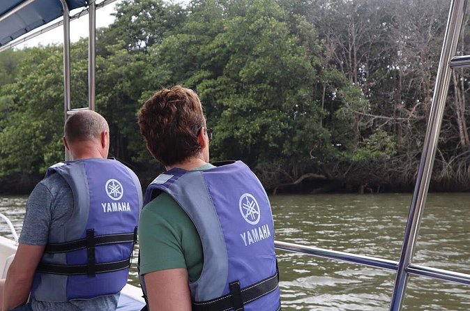 Johor Desaru Coast Day River Cruise - What Your Guide Teaches About Mangroves (and Why It Matters)