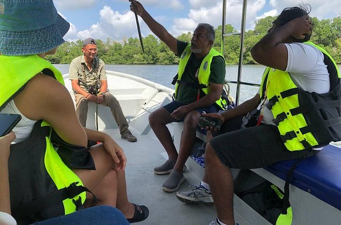 Johor Desaru Coast Day River Cruise - Weather Reality Check: When the Mangrove Ride Runs Best