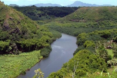 Kauai Northeast Tour, Fern Grotto River Cruise & Lighthouse - Opaekaa Falls and Sacred Sites: a Scenic Stop With Meaning